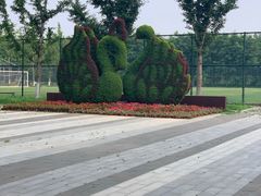 -长白岛森林公园