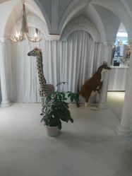 -星光贝贝(万达店)