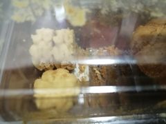 -酥侯糕点(广东路店)