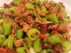-文三里屯面馆(三里屯店)