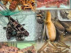 -万龙洲海鲜(大兴绿地缤纷城店)