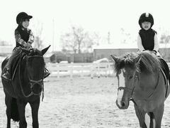 -月河湾马术俱乐部(朝阳店)