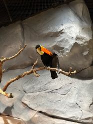 -Zoolung Zoolung动物主题公园(海信广场店)