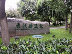 -唐城墙遗址公园
