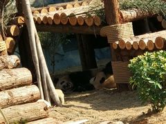 -泉州海丝野生动物世界