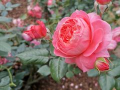 -人民公园(罗湖区)