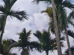-七仙岭君澜度假酒店