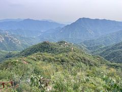 -大岭沟猕猴桃谷风景区