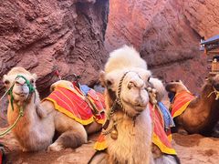 -天山神秘大峡谷