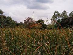 -白塘生态植物园