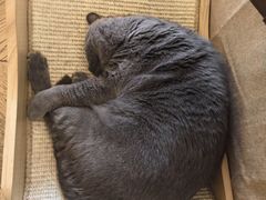 -Me Coffee下午茶艺术空间