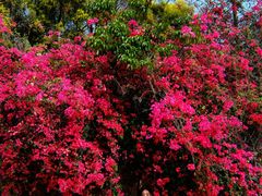 -厦门国家会计学院