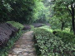 -天目湖涵田半山温泉