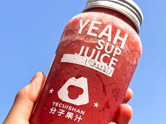 -野萃山·潮汕厚果汁(十亩地店)