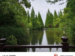 -东平国家森林公园