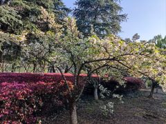 -白塘生态植物园