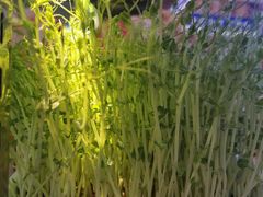 -星轶影院(南京茂业天地店)