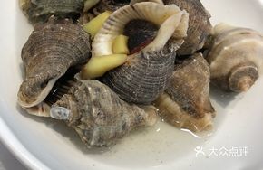 Local Horn Snail