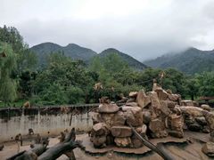 -西安秦岭野生动物园