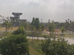 -芒洲湿地公园