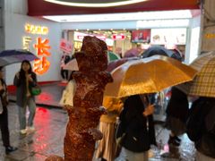 -黑色经典臭豆腐·湖南特产(坡子街店)