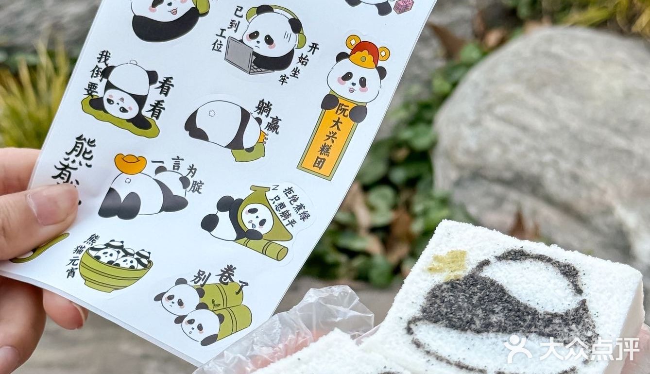 被路人追着问的熊猫方糕🐼！！！