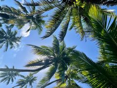 -创味·民间海南菜·非遗藤桥排骨(藤桥·免税城店)