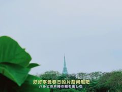 -松山湖风景区松湖烟雨