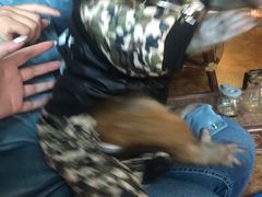 -盤古Spa泰式古法抓龙筋(鲁迅路店)