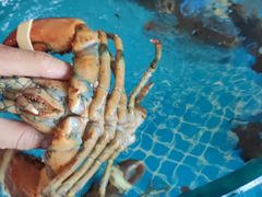 -蓝珊甄选海鲜自助·火锅大排档(近阿那亚店)