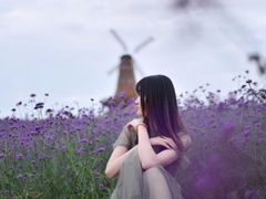 -大塘金香草谷