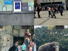 -合肥野生动物园