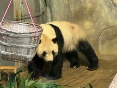 -深圳野生动物园