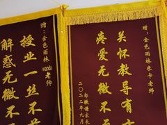 -金色雨林注意力记忆力感统情商思维(立丰国际店)