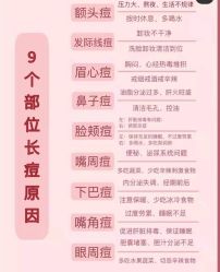 点击看大图 -凡碧诗毛孔清洁收细