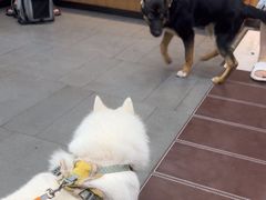 -联合动物医院(光谷诊疗中心)