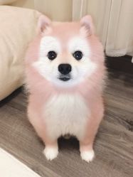 -Oasis Beauty水磨坊科技美肤中心