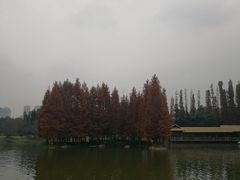 -秀丽东方