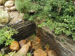 -徂徕山森林康养度假谷温泉