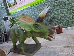 -深圳野生动物园