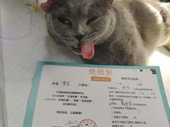 -瑞派雷欧宠物医院·24h夜诊·心脏骨科牙科·全科重症转诊中心(无影山店)