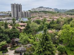 -青岛香根温泉酒店