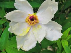 -陕西师范大学(雁塔校区)