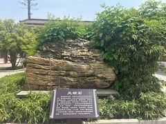 -仙游寺