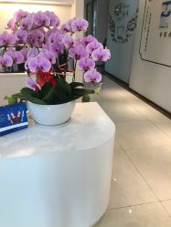 -丽美妍医疗美容·皮秒·立体分层抗衰