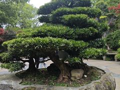 -南山植物园