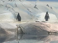 -上海海洋水族馆