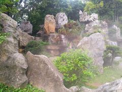 -东莞植物园