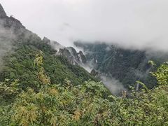 -武陵山森林公园