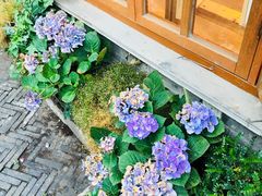 -猫的天空之城概念书店(杭州南宋御街店)